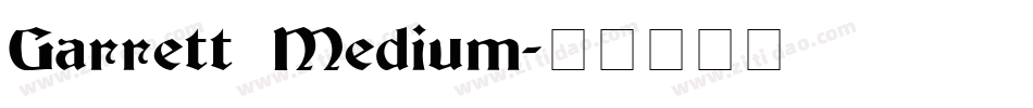 Garrett Medium字体转换